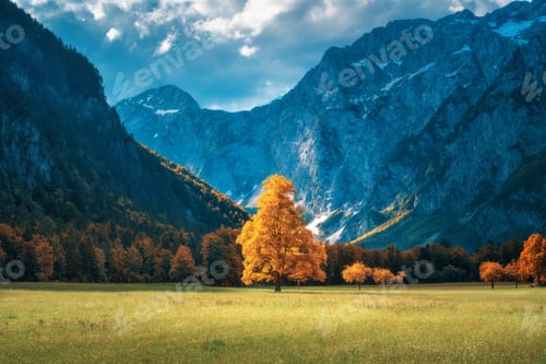 Preview: Scenic Mountain Landscape with Meadow and Golden Trees