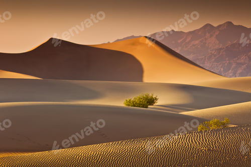 Preview: Desert Death Valley