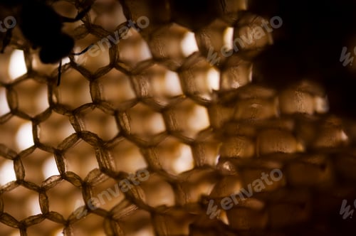 Preview: Texture and pattern of honeycomb, Abstract background