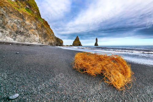 Preview: Amazing landscape with basalt rock formations Troll Toes on Black beach Reynisfjara