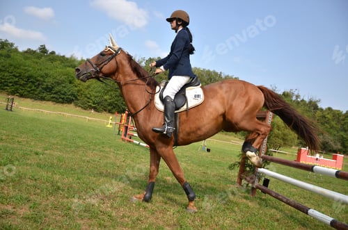 Preview: Horse Jumping