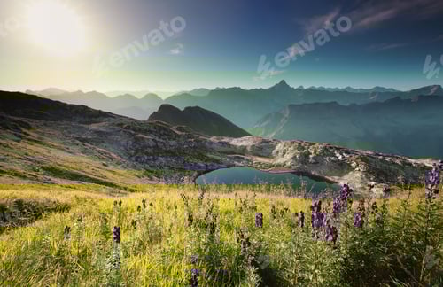 Preview: wildflowers on hill by alpine lake at sunrise