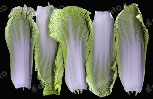 Preview: Lettuce