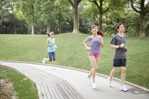 Preview: Three runners on path in park