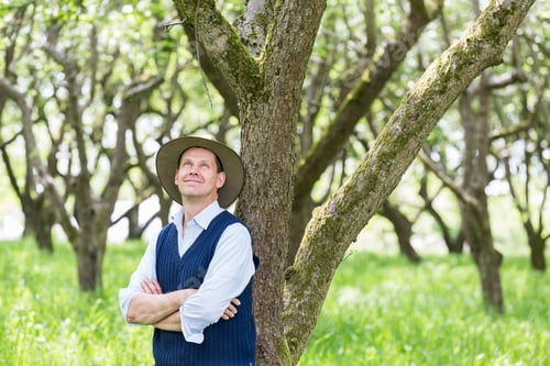 Preview: Portrait of man arms folded looking up