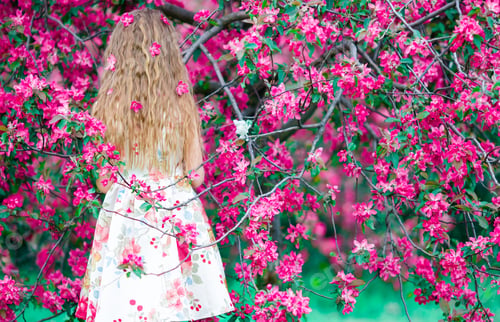 Preview: Adorable little girl in blooming apple tree garden on spring day