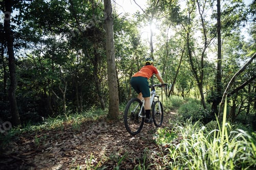 Preview: Mountain biking in summer forest