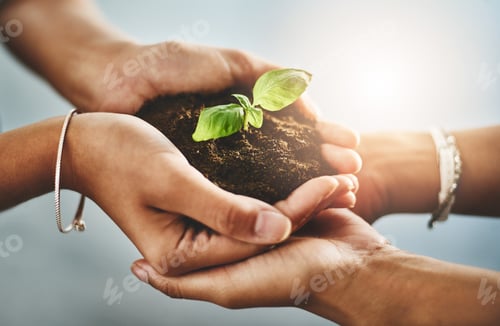Preview: Work together, grow together