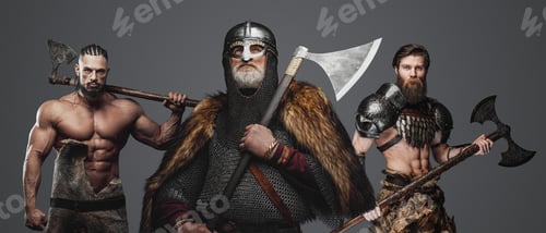 Preview: Elderly viking with chainmail and two muscular comrades