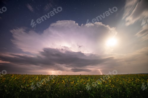 Preview: Beautiful thunderstorm with clouds, lightning and moon over a field with sunflowers at night.