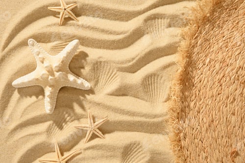 Preview: Sandy beach background with starfishes . Top view