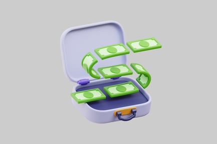 Preview: Cartoon briefcase with money assets