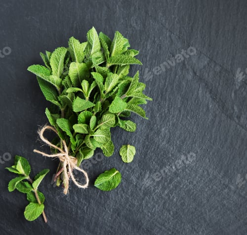 Preview: Fresh mint