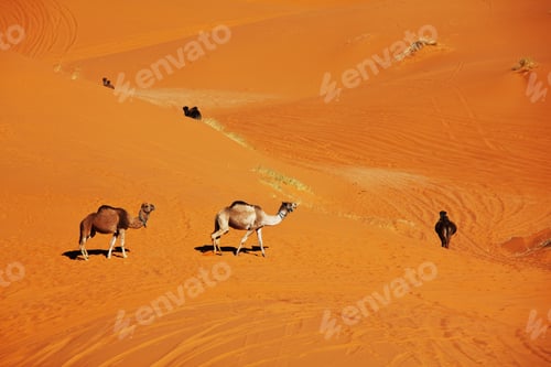 Preview: Caravan in desert