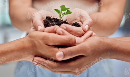 Preview: Growth is a slow process