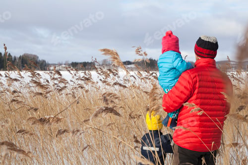 Preview: Father and two sons walking through long grass, in snow covered landscape, rear view