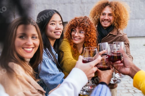 Preview: Group of multiethnic friends making a toast drinking wine together