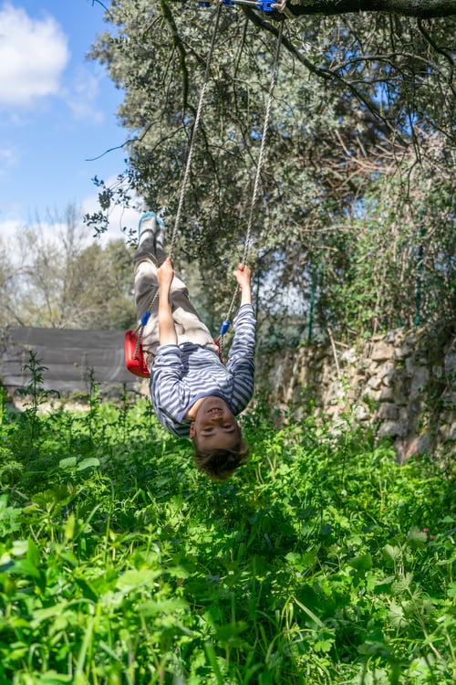 Preview: 8 year old Caucasian boy swinging on a swing hanging from a tree in nature
