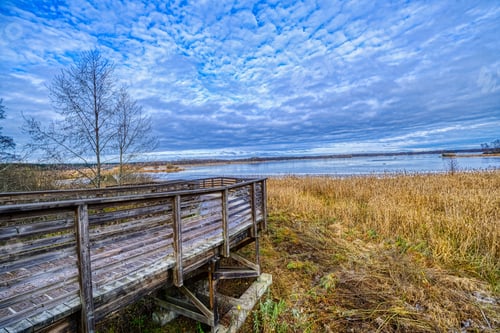 Preview: Elevated wooden dock extending over a tranquil marsh, with a serene lake in the background