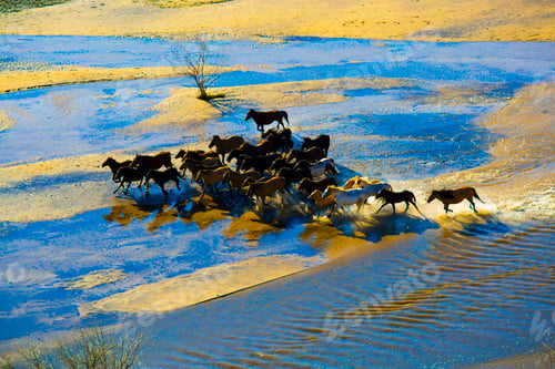 Preview: Horses running in water