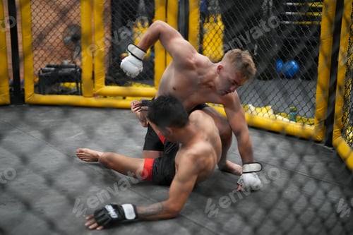 Preview: MMA Fighter Training