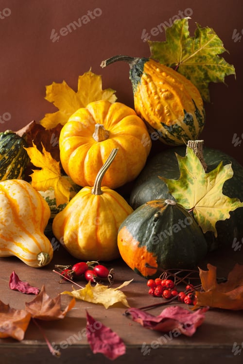 Preview: decorative mini pumpkins autumn leaves for halloween thanksgivin