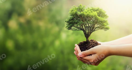 Preview: hand holding tree on blur green nature background. concept eco earth day
