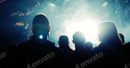 Preview: Crowd watching fireworks and celebrating new year eve