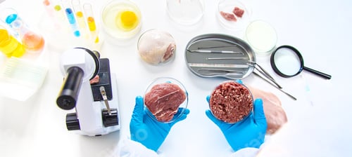 Preview: Examine meat in the laboratory. Selective focus.