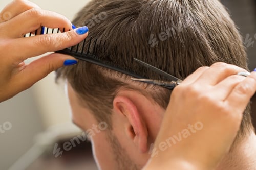 Preview: Beauty, hairstyle. Hairdresser salon