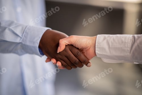 Preview: Closeup Shot Of Handshake Symbolizing Diversity And Cooperation Indoors