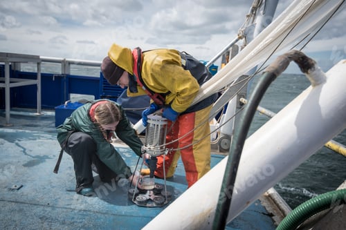 Preview: Marine biologist taking plankton samples from net on research ship