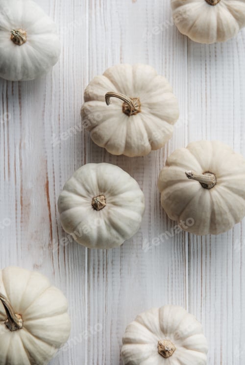 Preview: White pumpkins on a white wooden background