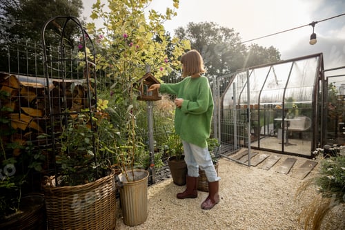 Preview: Woman feed birds in the yard