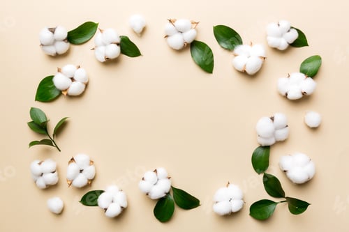 Preview: Autumn Floral Flat lay background composition. Dried white fluffy cotton flower branchwith