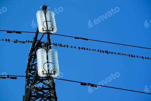 Preview: Flock of birds on high voltage pylon in blue sky