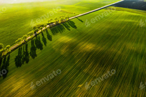 Preview: A bird's-eye view of a green field and a road in Europe.Nature Of Belarus.Own green field at