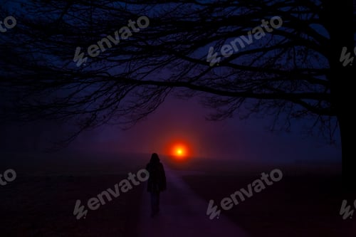 Preview: Mysterious person walking in the fog