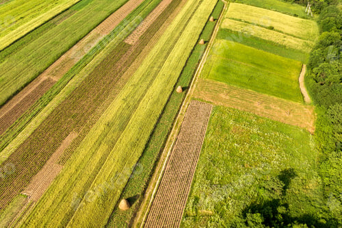Preview: Aerial view of green agricultural fields in spring with fresh vegetation after seeding