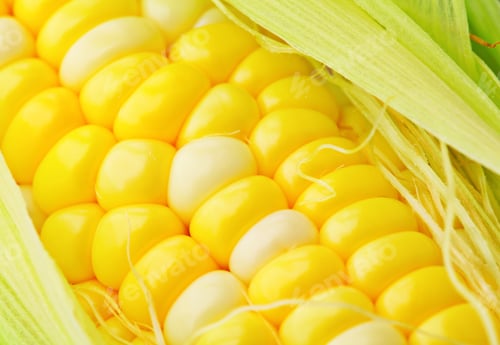 Preview: corn cobs