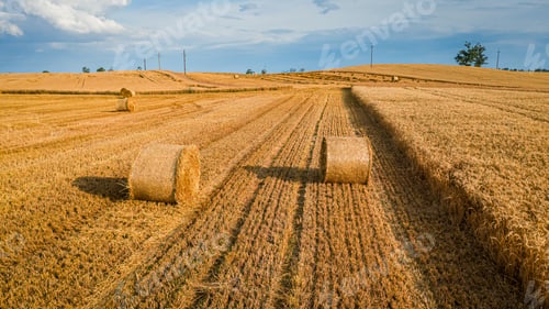 Preview: Big and round baler on fields in Poland