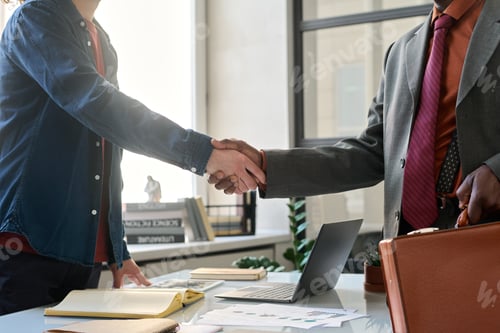 Preview: Person Shaking Hands with Partner in Office
