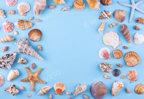 Preview: Summer nautical marine background with shell
