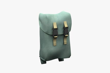 Preview: Small green fabric bag with gold buckle and black straps