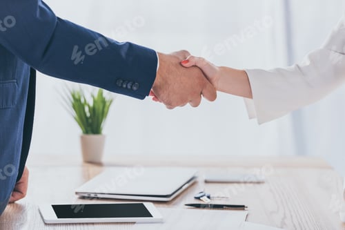 Preview: partial view of businessman shaking hands with woman while sitting at wooden desk