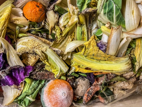 Preview: green and yellow background of many rotting fruit and vegetables