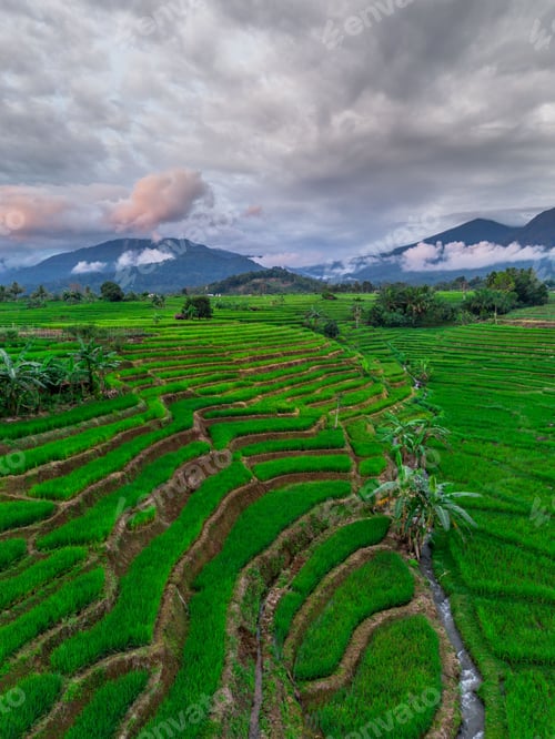 Preview: Beautiful morning view indonesia panorama landscape