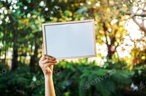 Visualização: Mão segurando uma placa em branco contra o fundo de um parque verde, com espaço de cópia