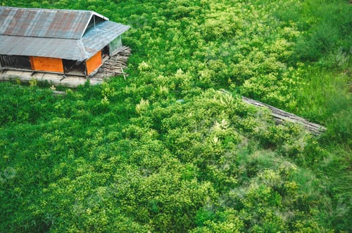 Preview: local site of Thailand, green nature field landscape