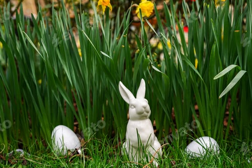 Preview: Easter bunny and white eggs in the daffodil flowers garden, nature background. Happy Easter holiday